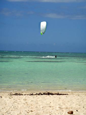 Tobago_kite_1