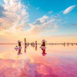 Розовое Сасык-Сивашское озеро. Крым