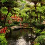 Монте Палас — Тропический Сад (Фуншал, Португалия)
