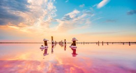 Розовое Сасык-Сивашское озеро. Крым