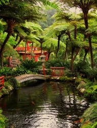Монте Палас — Тропический Сад (Фуншал, Португалия)